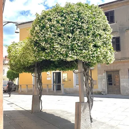 Apartament Mia *